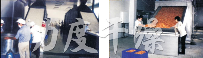 DW多層帶式干燥機 DW多層帶式干燥機