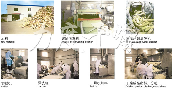 DWC系列脫水蔬菜帶式干燥機 DWC系列脫水蔬菜帶式干燥機