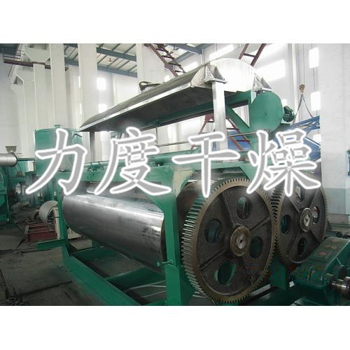 雙滾筒刮板干燥機(jī)